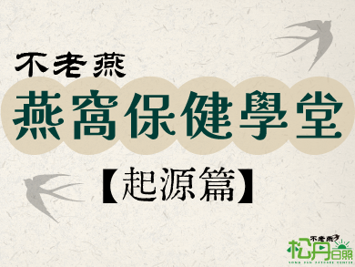 【起源篇】燕窩從哪裡來？金絲燕的一生與築巢祕密