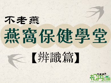 【辨識篇】如何辨識化學漂白或刷膠處理的燕窩