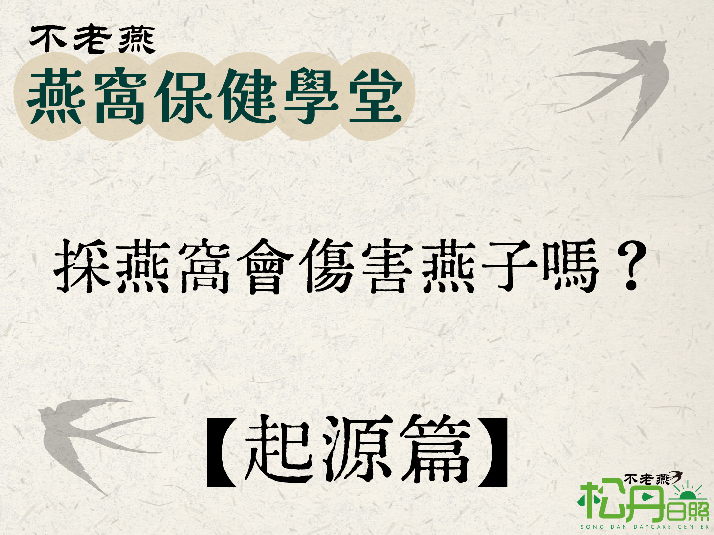 【起源篇】採燕窩會傷害燕子嗎？關於人道養殖與三不採原則